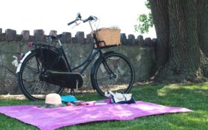 Корзина для пикника на велосипеде